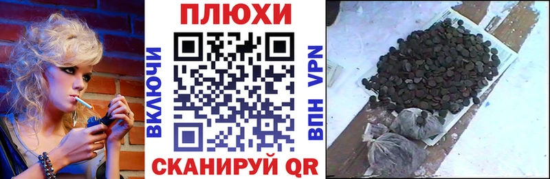 где продают наркотики  Тавда  Гашиш индика сатива 