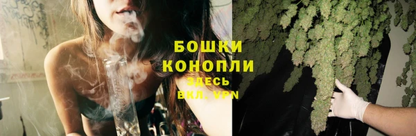 ГАЛЛЮЦИНОГЕННЫЕ ГРИБЫ Аркадак