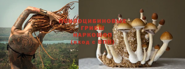 jwh Арсеньев