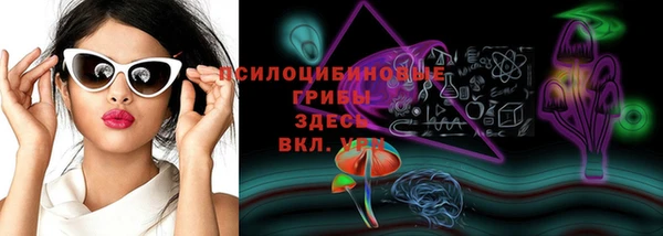 стафф Осинники