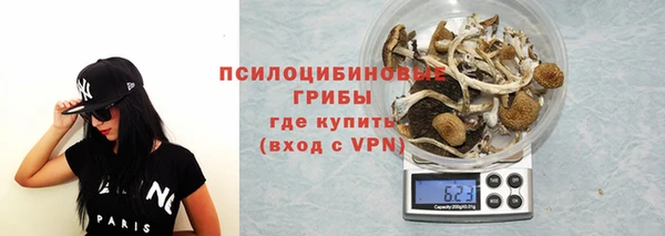 ALPHA PVP Осташков