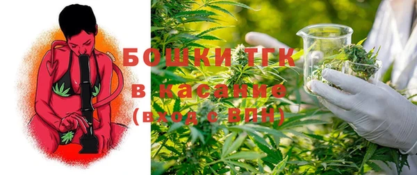 ГАЛЛЮЦИНОГЕННЫЕ ГРИБЫ Аркадак