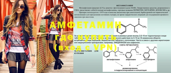 ГАЛЛЮЦИНОГЕННЫЕ ГРИБЫ Аркадак