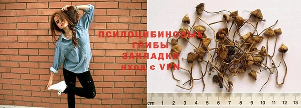 дмт Армянск