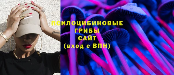дмт Армянск