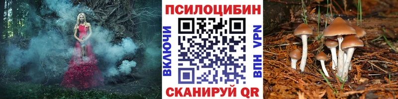 Галлюциногенные грибы Psilocybine cubensis  Тавда 